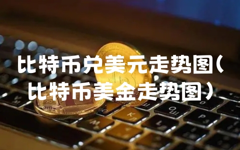 比特币兑美元走势图（比特币美金走势图）