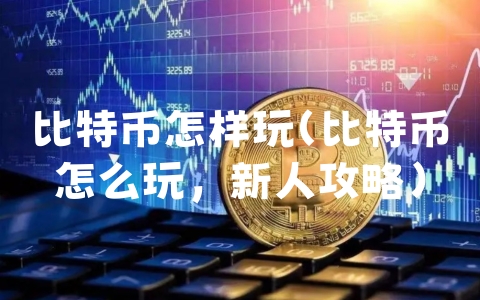 比特币怎样玩（比特币怎么玩,新人攻略）