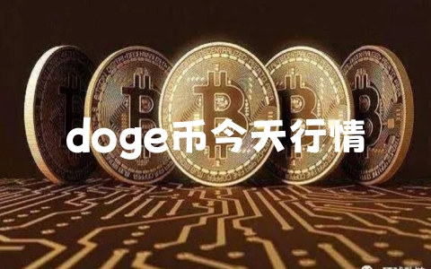 doge币今天行情