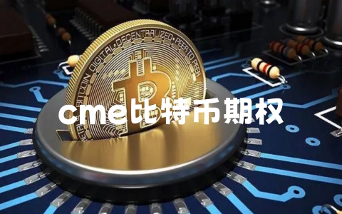 cme比特币期权