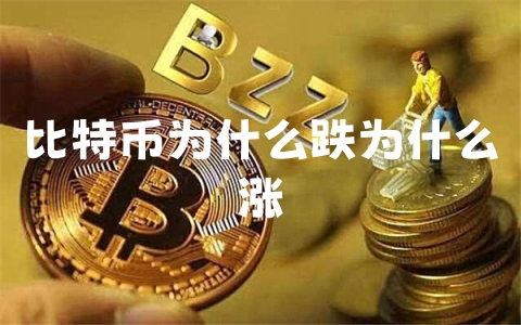 比特币为什么跌为什么涨