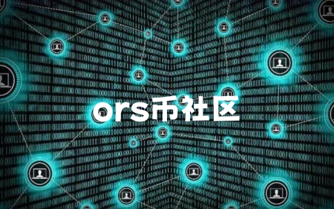 ors币社区