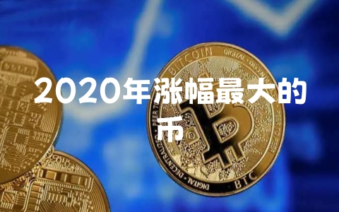 2020年涨幅最大的币